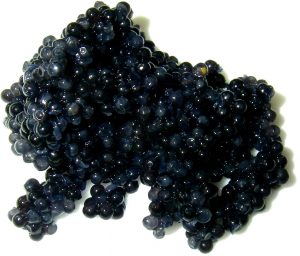 caviar-perfection