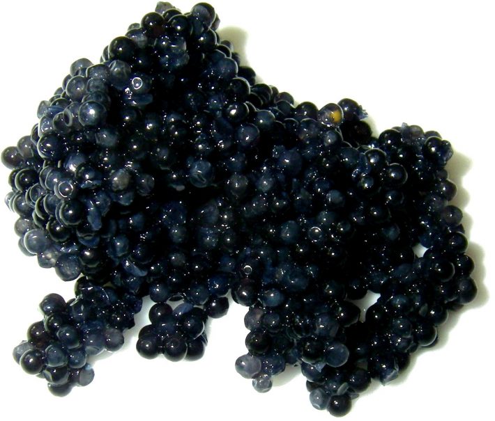 caviar-perfection